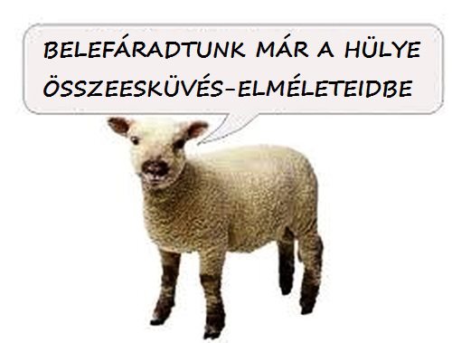 politika
